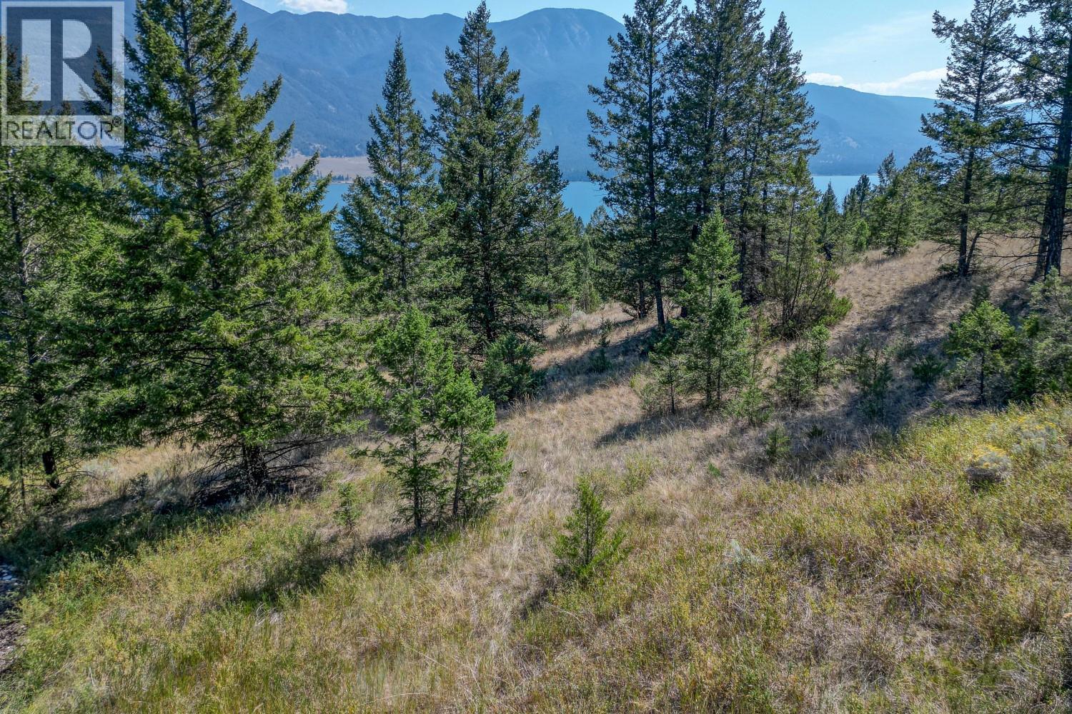 Photo 4 of Bella Vista Boulevard Lot 3, Fairmont Hot Springs BC