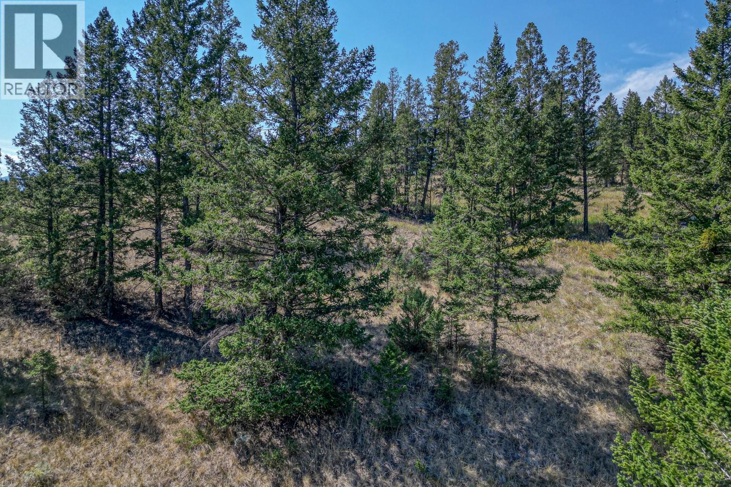 Photo 25 of Bella Vista Boulevard Lot 3, Fairmont Hot Springs BC