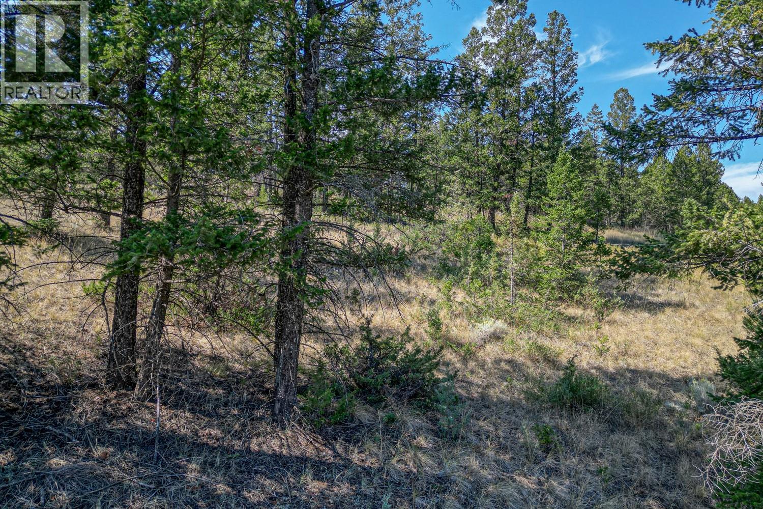Photo 1 of Bella Vista Boulevard Lot 3, Fairmont Hot Springs BC
