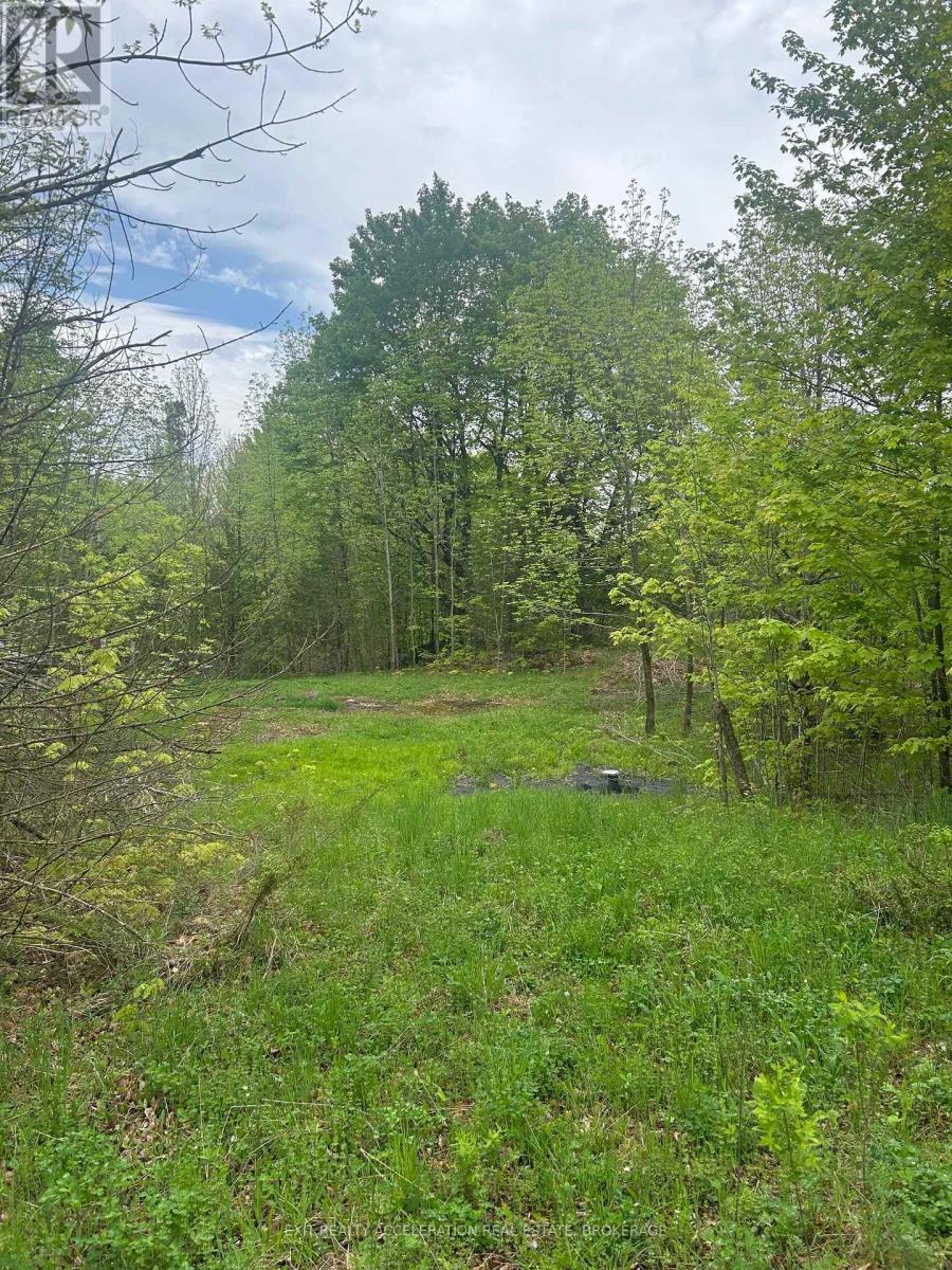 Photo 5 of 0 Bradshaw Road, Frontenac ON