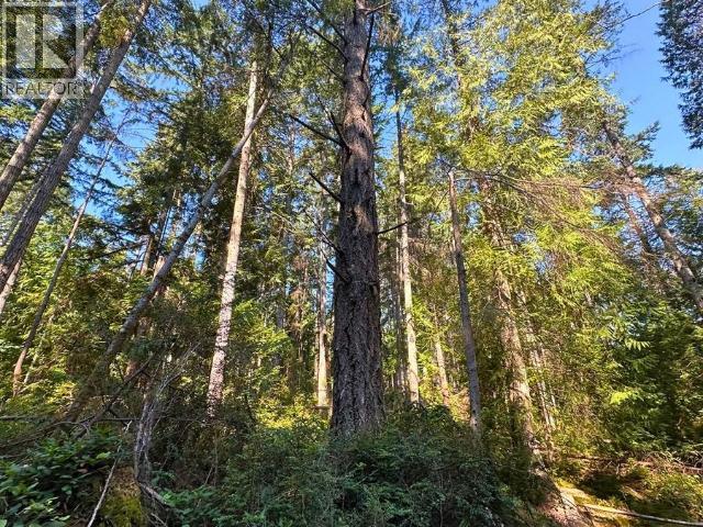 Block B ANDERSON BAY ROAD, Texada Island