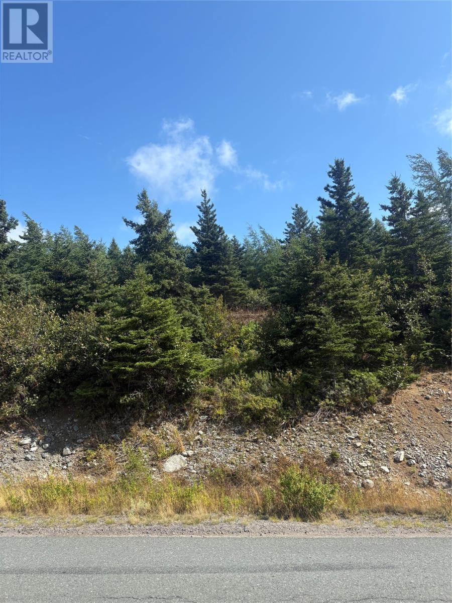 Photo 2 of 0 Jubilee Path, Brigus NL