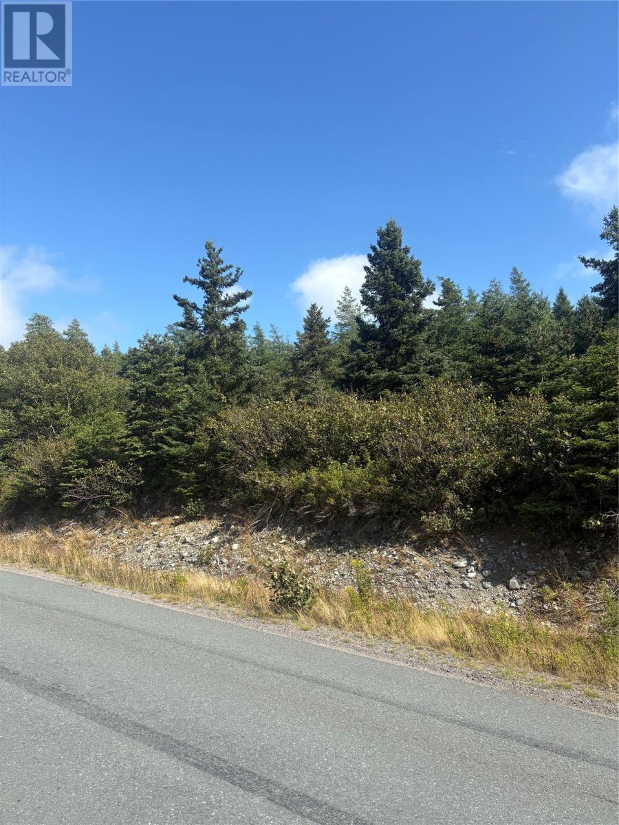 Photo 1 of 0 Jubilee Path, Brigus NL