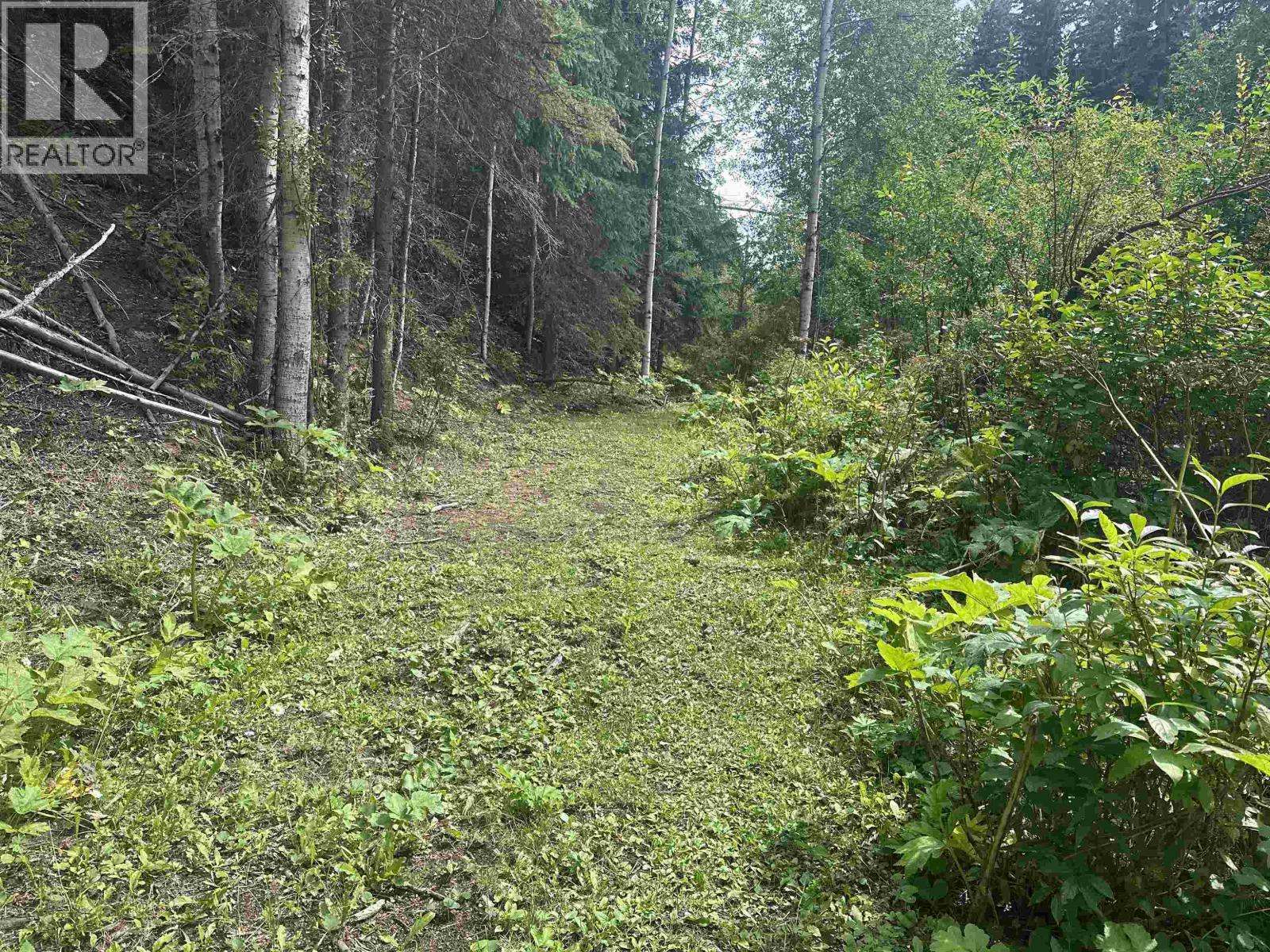 LOT 4 W BIG LAKE ROAD, Williams Lake