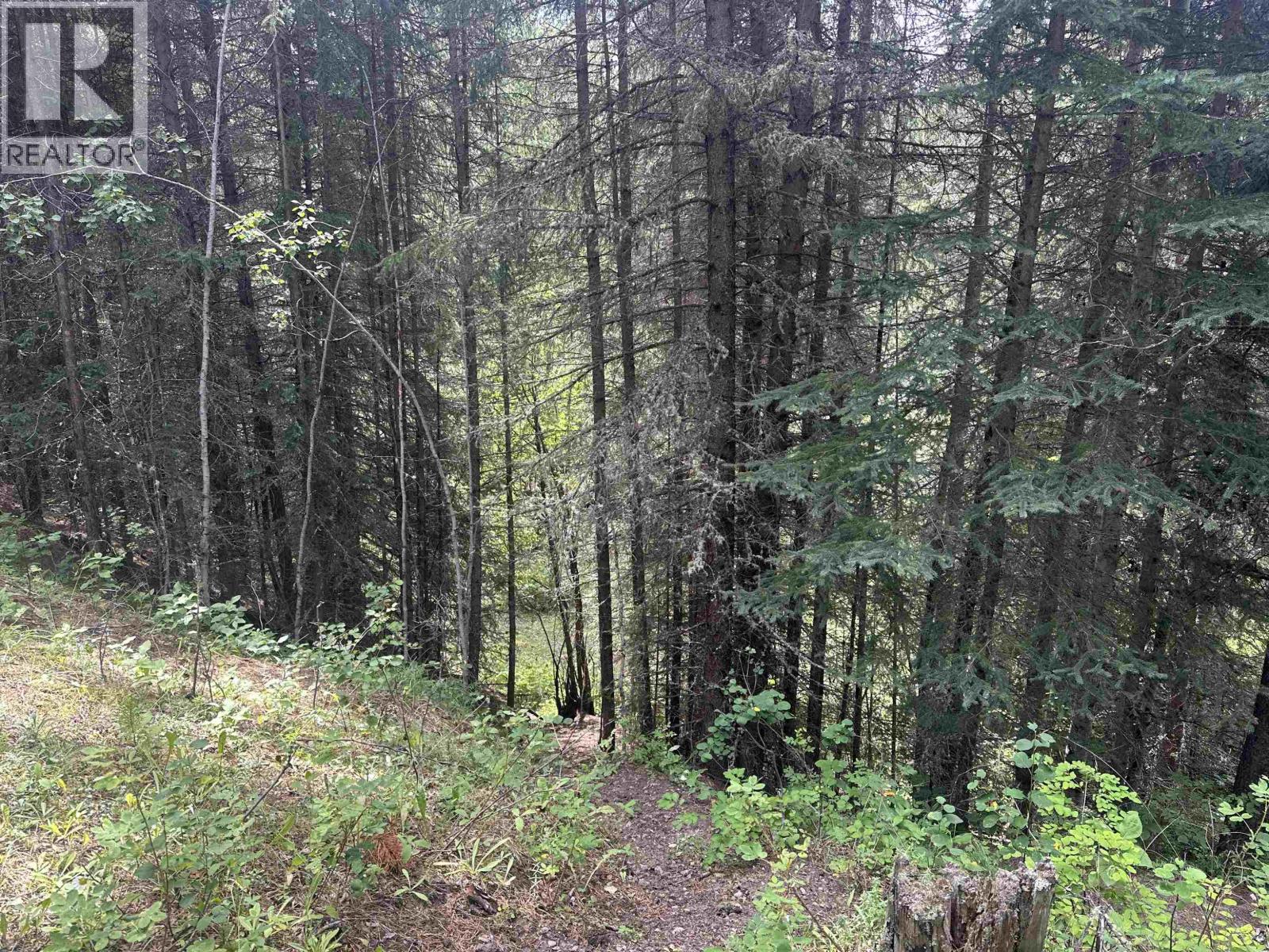 LOT 4 W BIG LAKE ROAD, Williams Lake