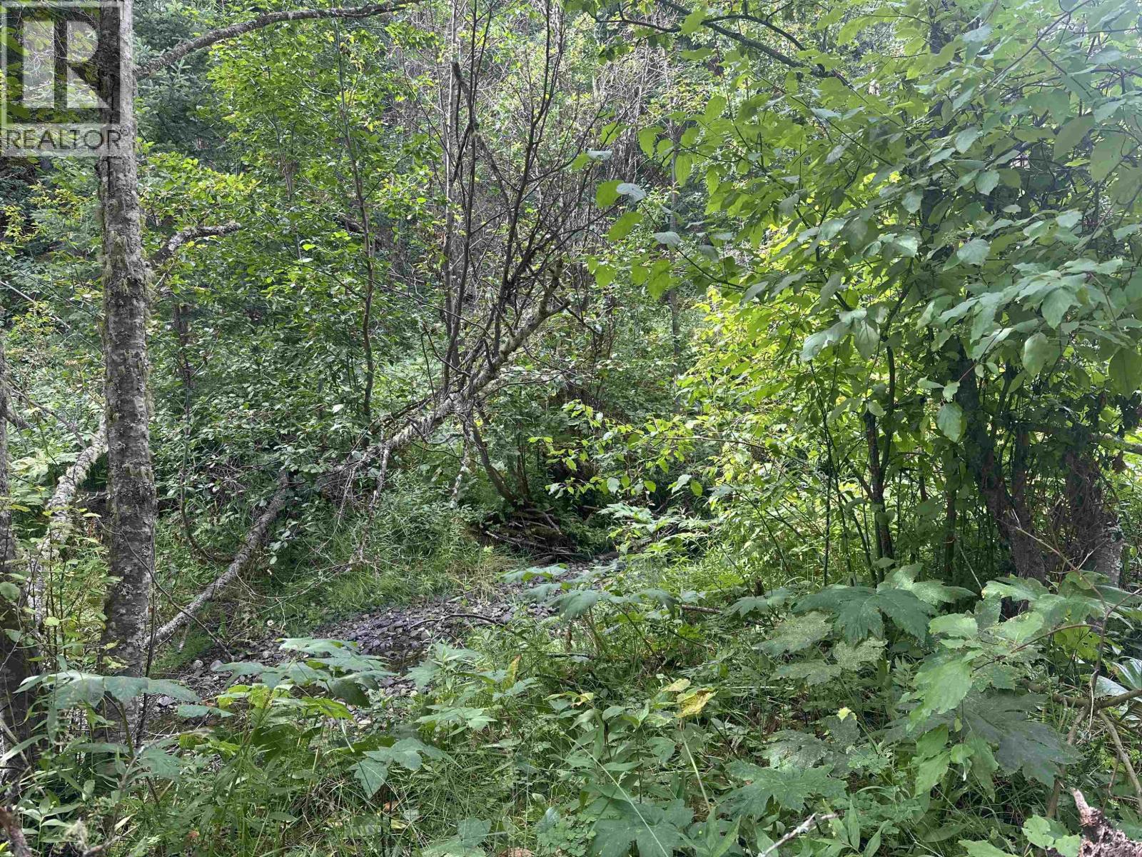 LOT 4 W BIG LAKE ROAD, Williams Lake