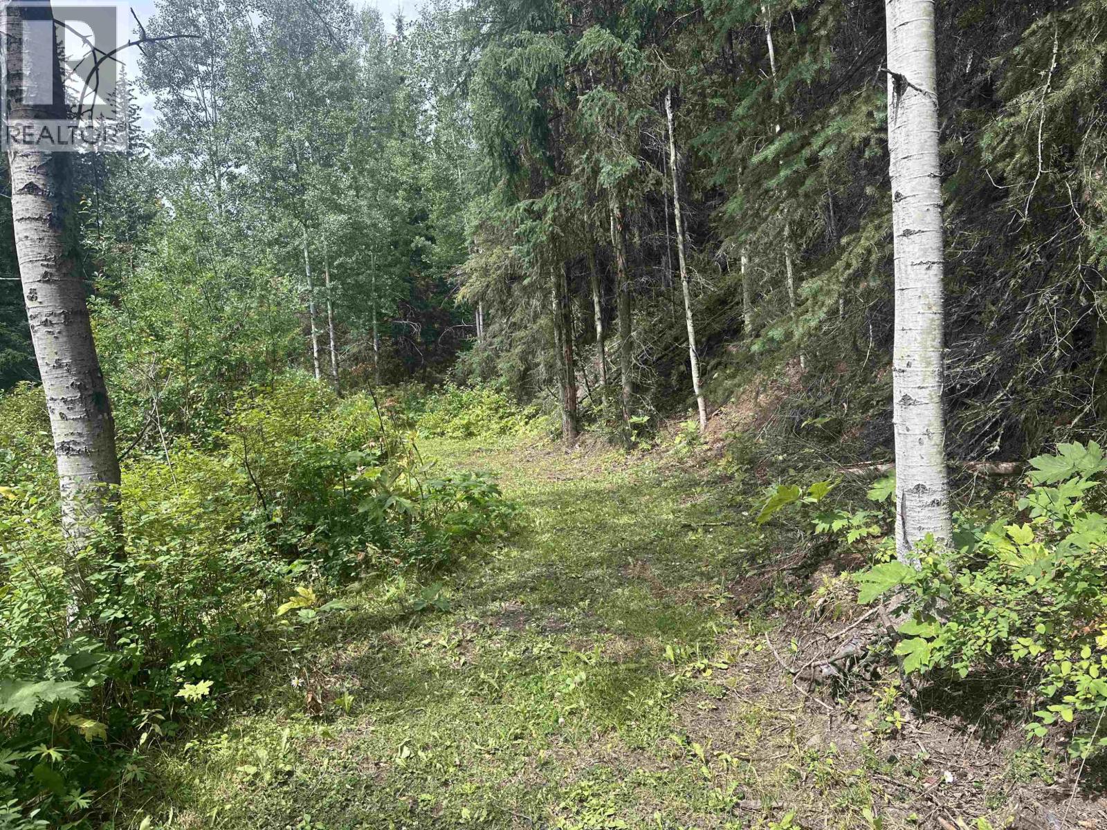 LOT 4 W BIG LAKE ROAD, Williams Lake