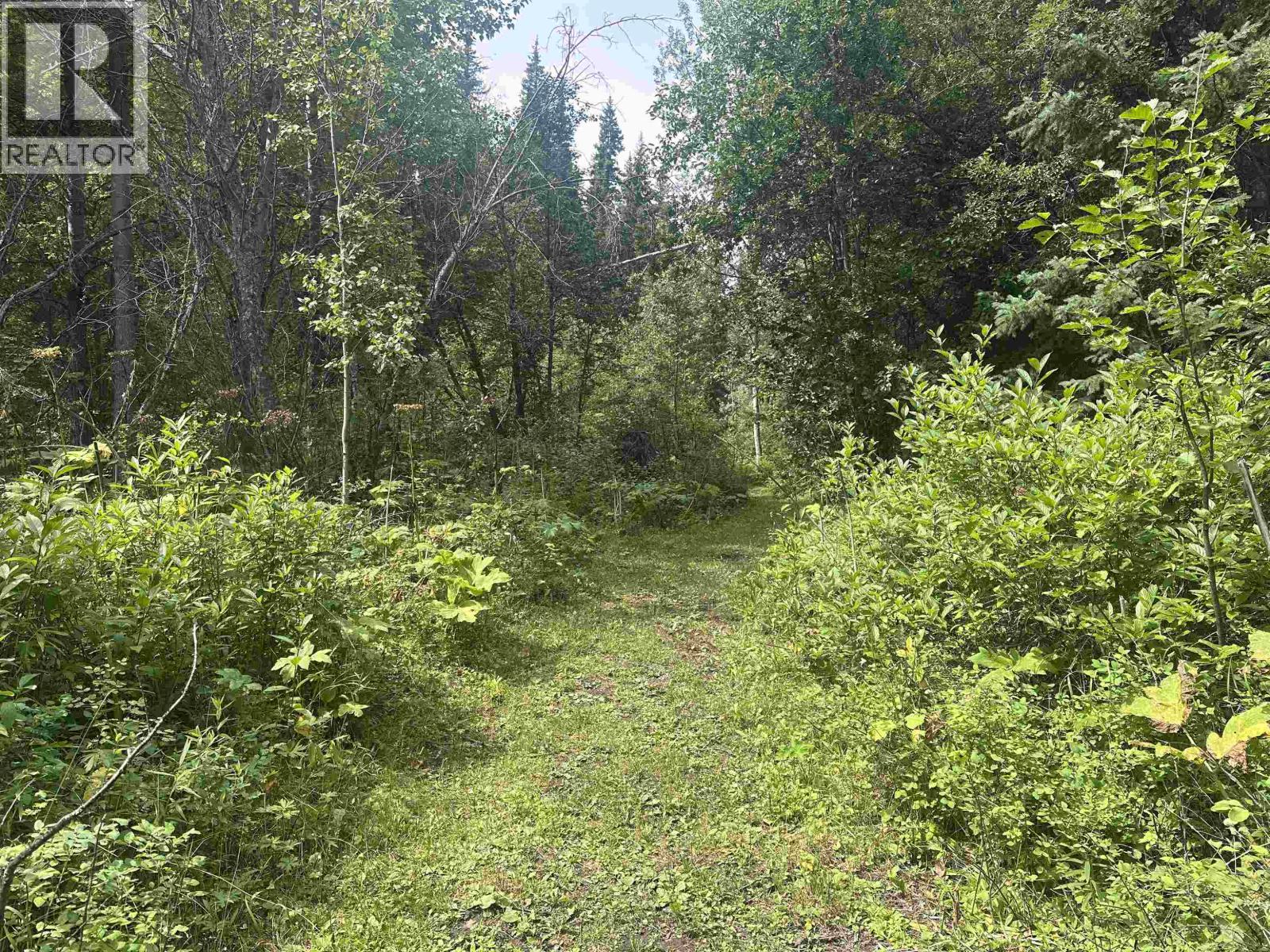 LOT 4 W BIG LAKE ROAD, Williams Lake