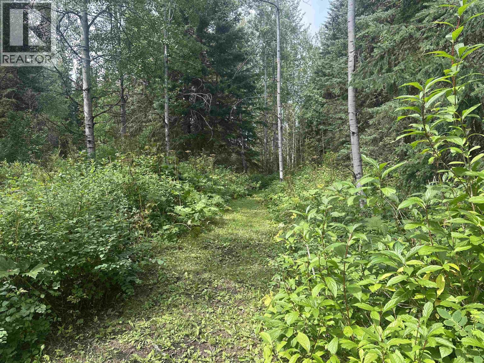 LOT 4 W BIG LAKE ROAD, Williams Lake