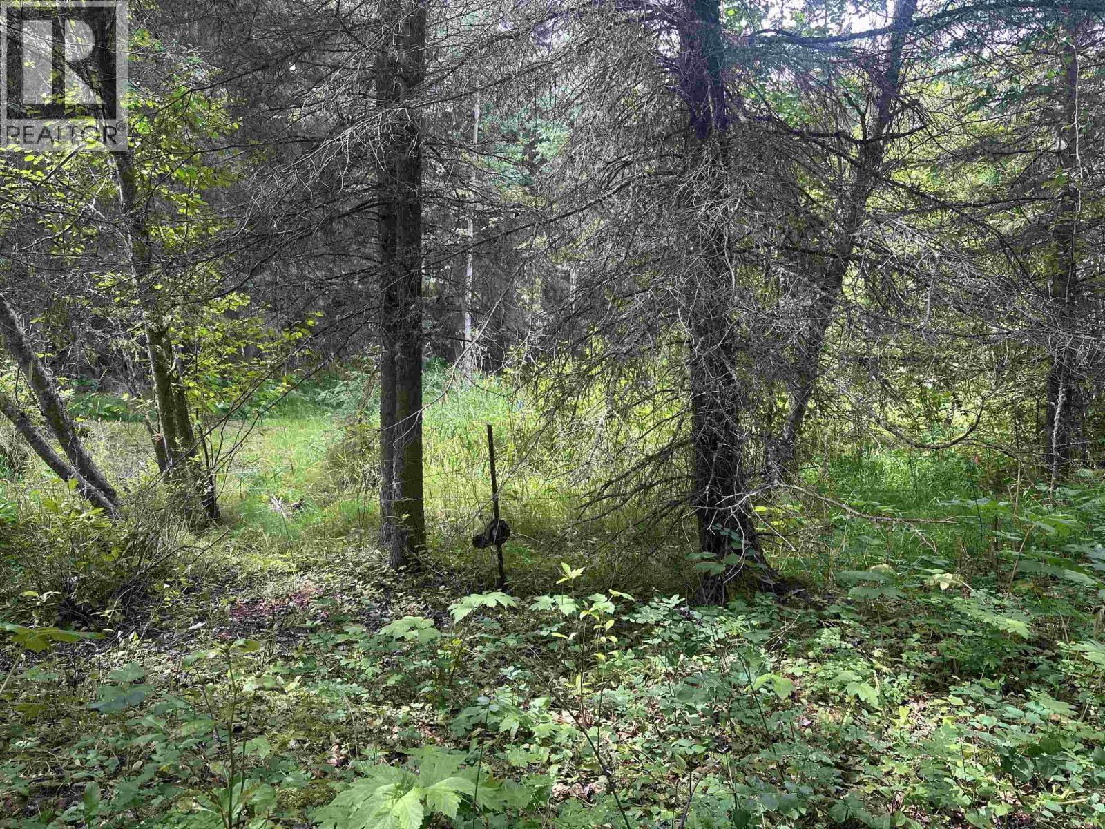 LOT 4 W BIG LAKE ROAD, Williams Lake