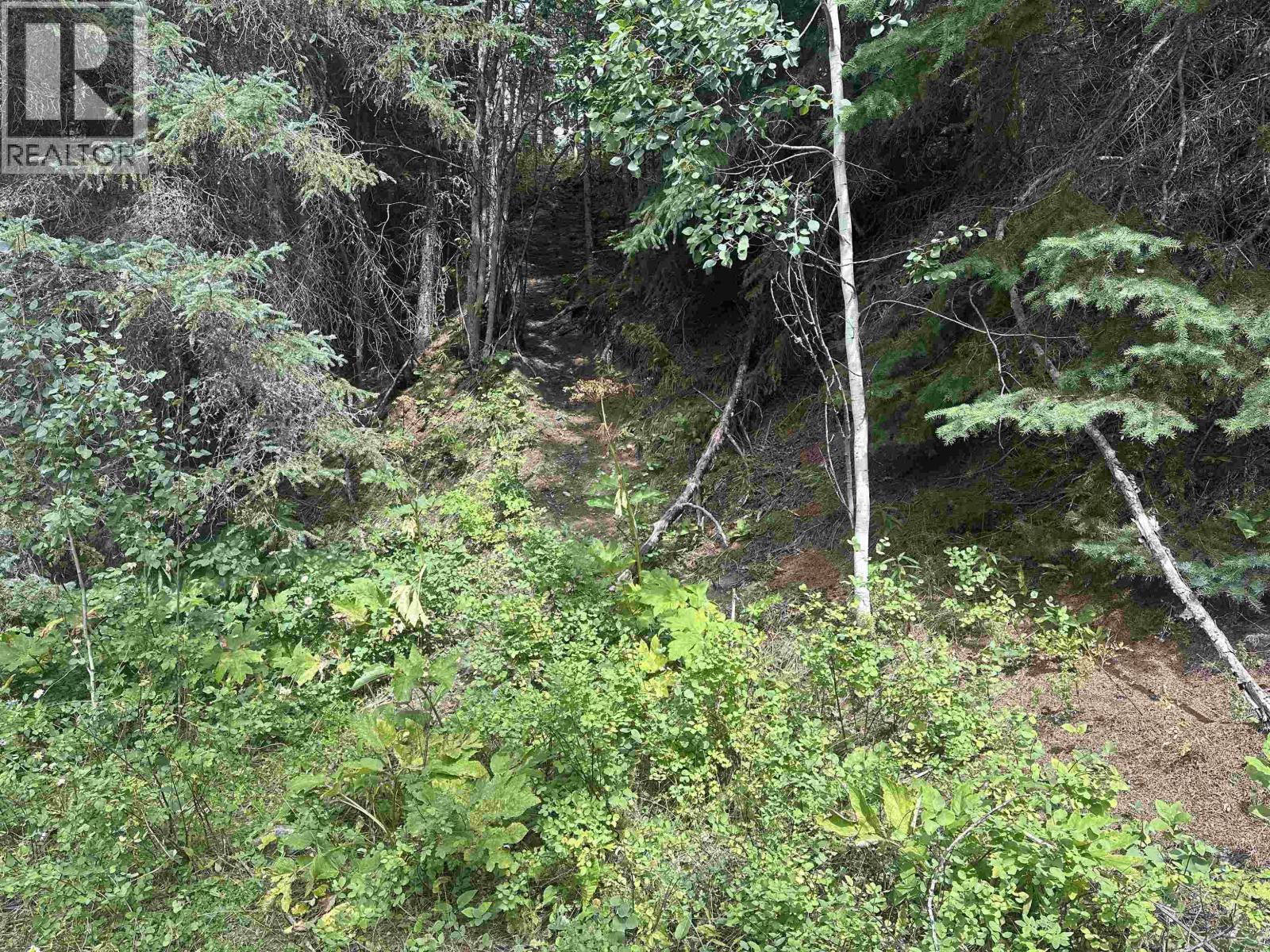 LOT 4 W BIG LAKE ROAD, Williams Lake