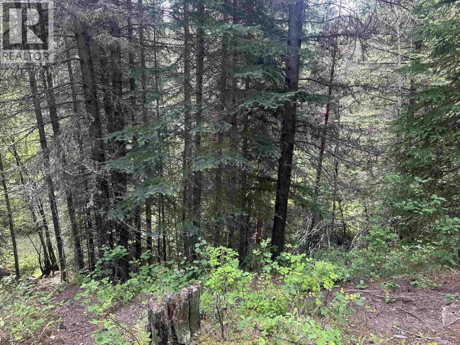 LOT 4 W BIG LAKE ROAD, Williams Lake