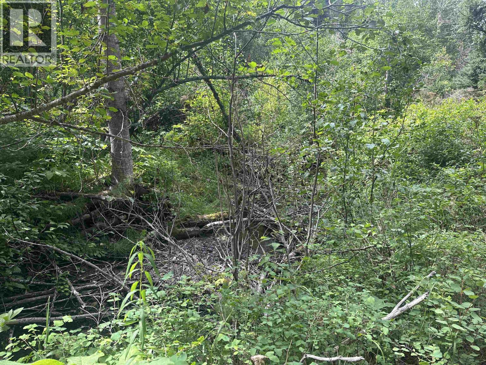 LOT 4 W BIG LAKE ROAD, Williams Lake