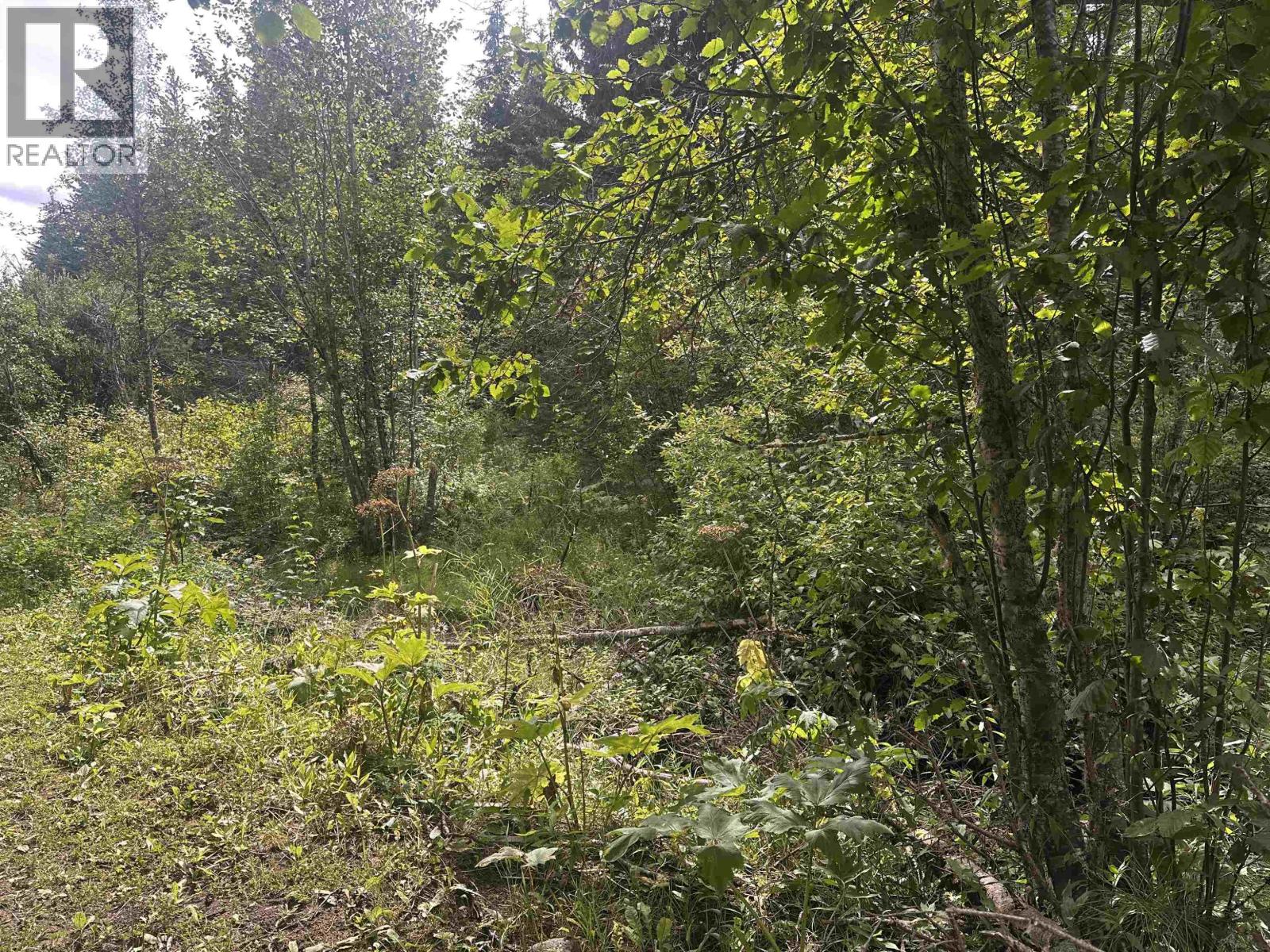 LOT 4 W BIG LAKE ROAD, Williams Lake