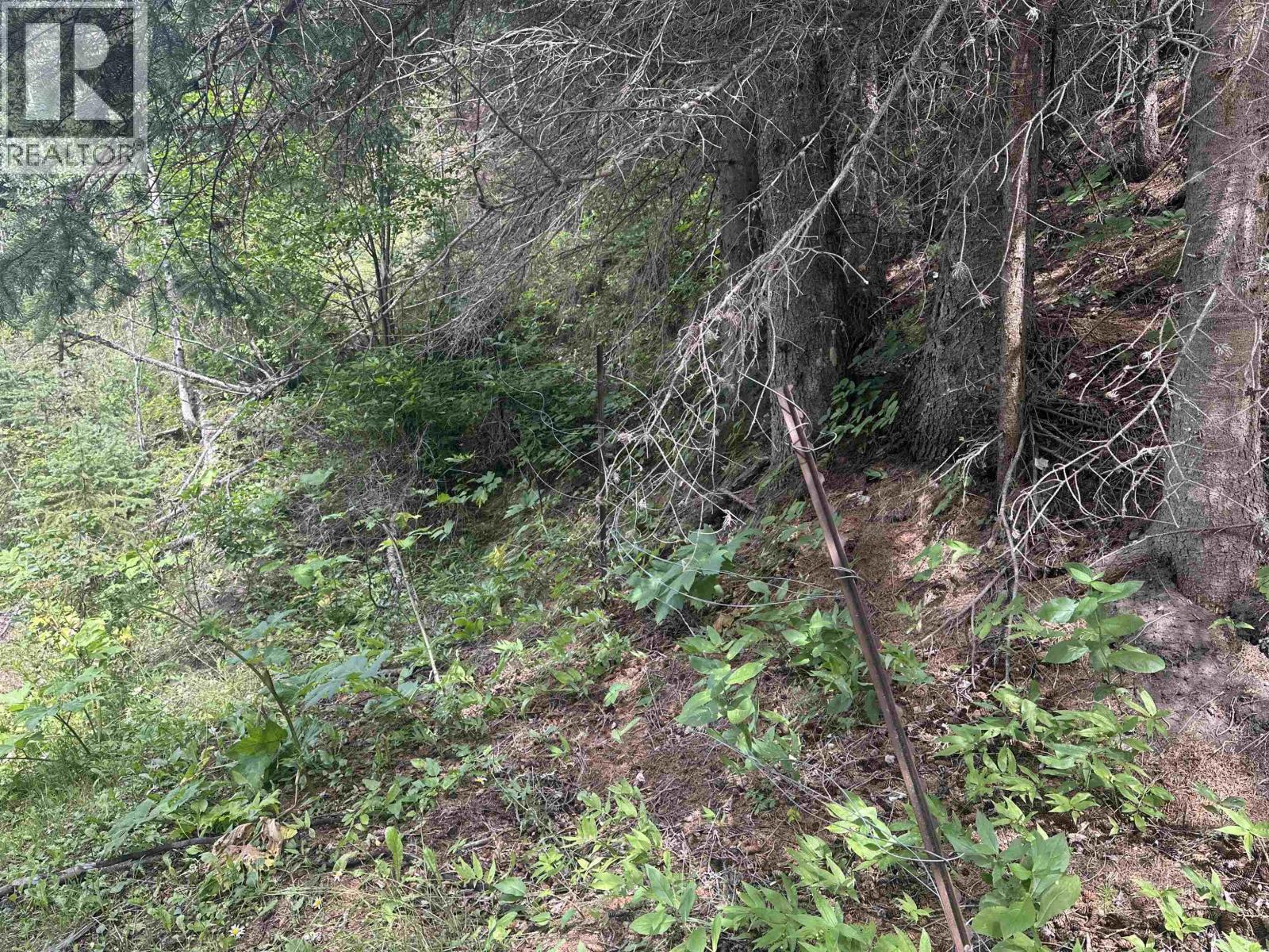 LOT 4 W BIG LAKE ROAD, Williams Lake