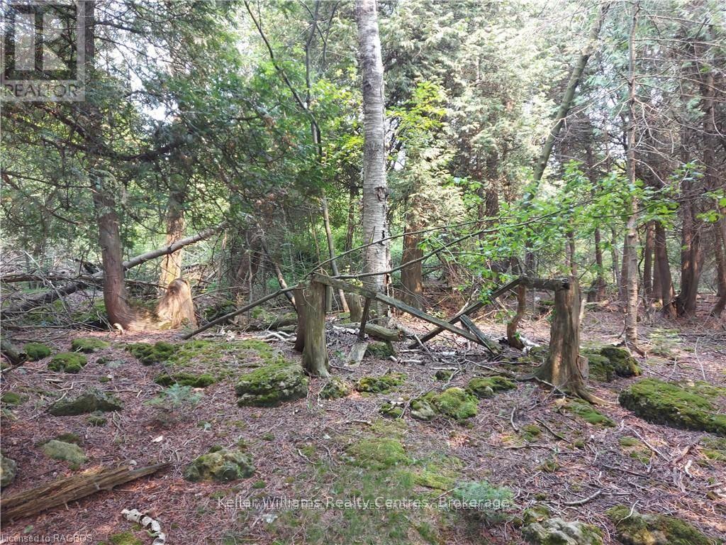 Photo 28 of 23 Rabbit, South Bruce Peninsula ON
