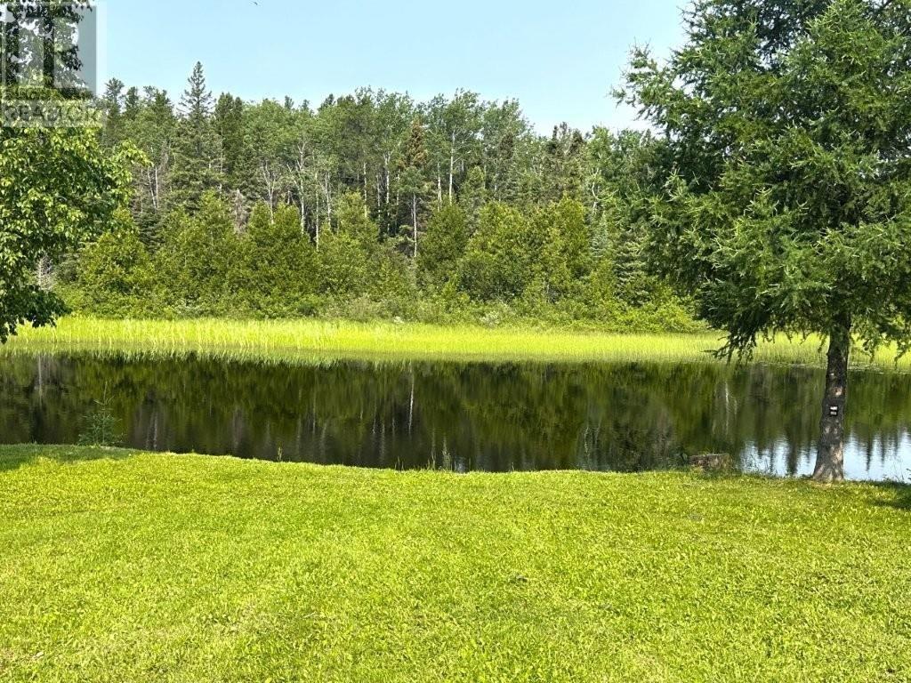 Photo 49 of 146 Dot Street, Beardmore ON