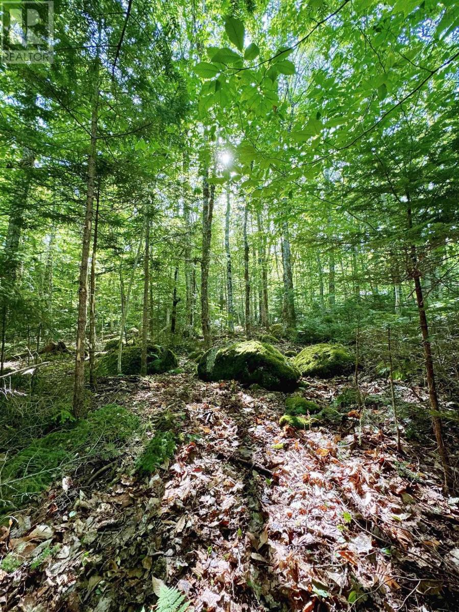 Property 4 of 6 of Lot 40 Cliff Road