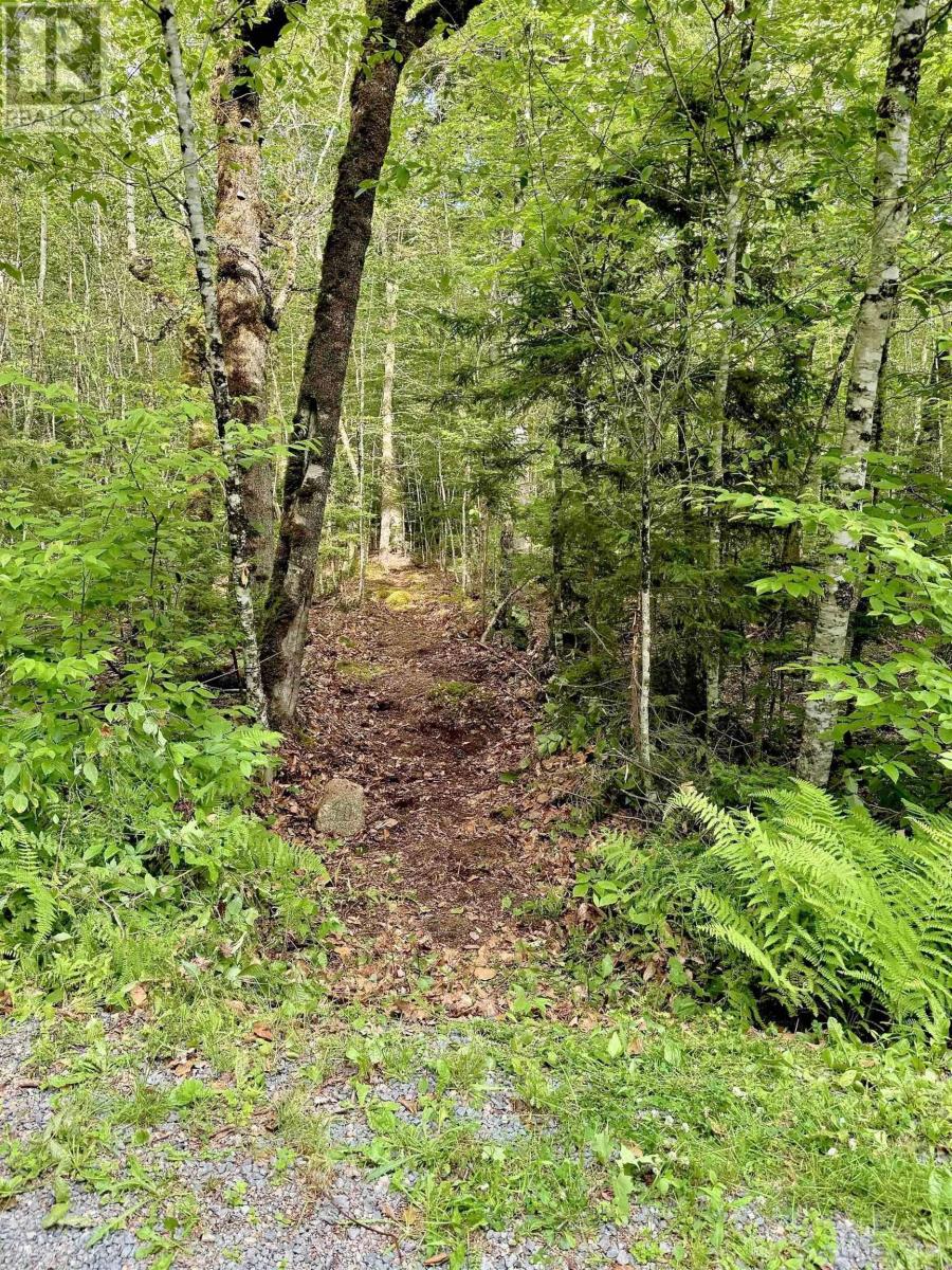 Property 6 of 6 of Lot 40 Cliff Road