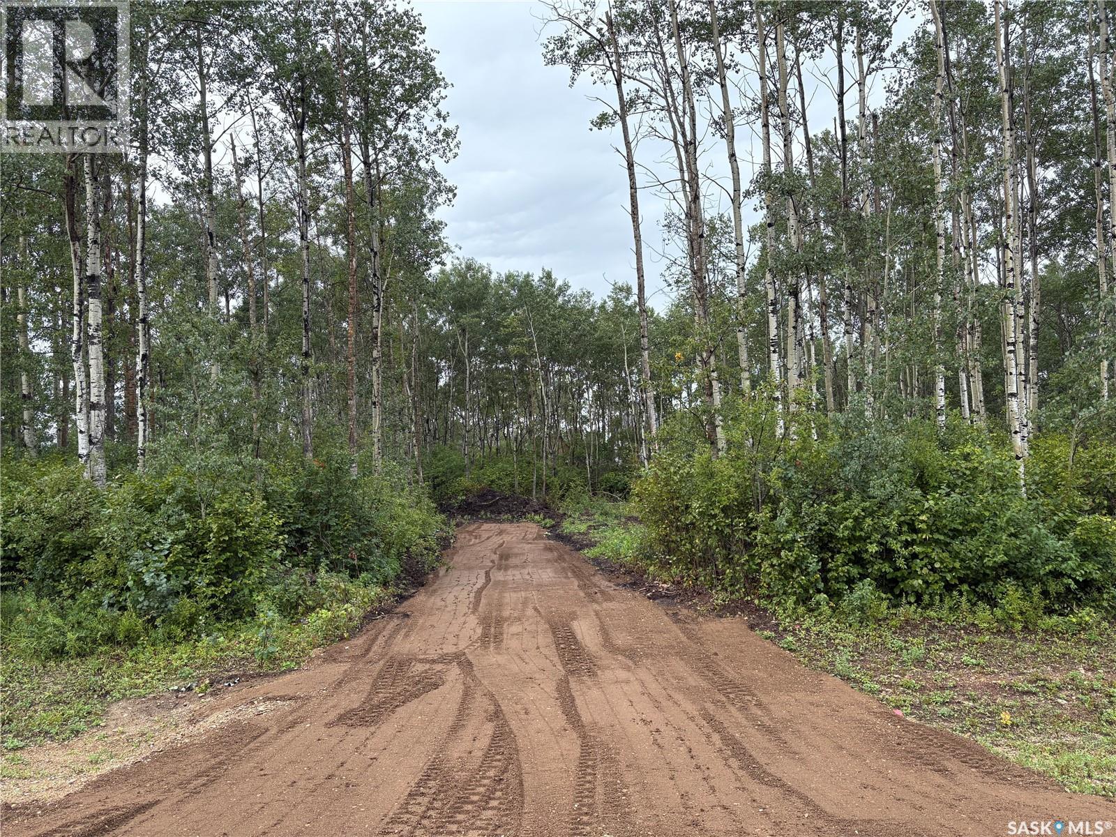 Photo 3 of 302 Black Bay, Barrier Valley Rm No 397 SK