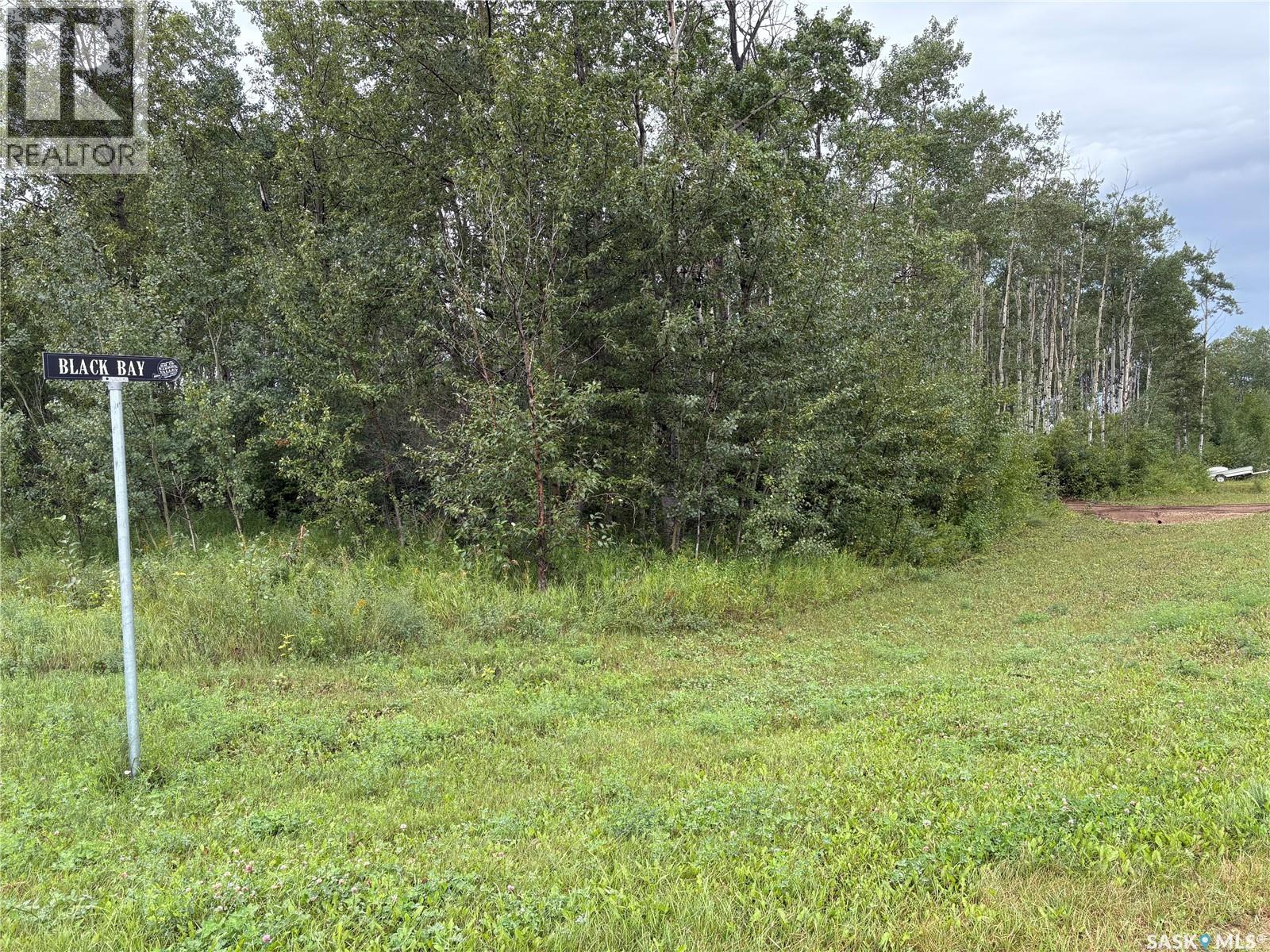 Photo 4 of 302 Black Bay, Barrier Valley Rm No 397 SK