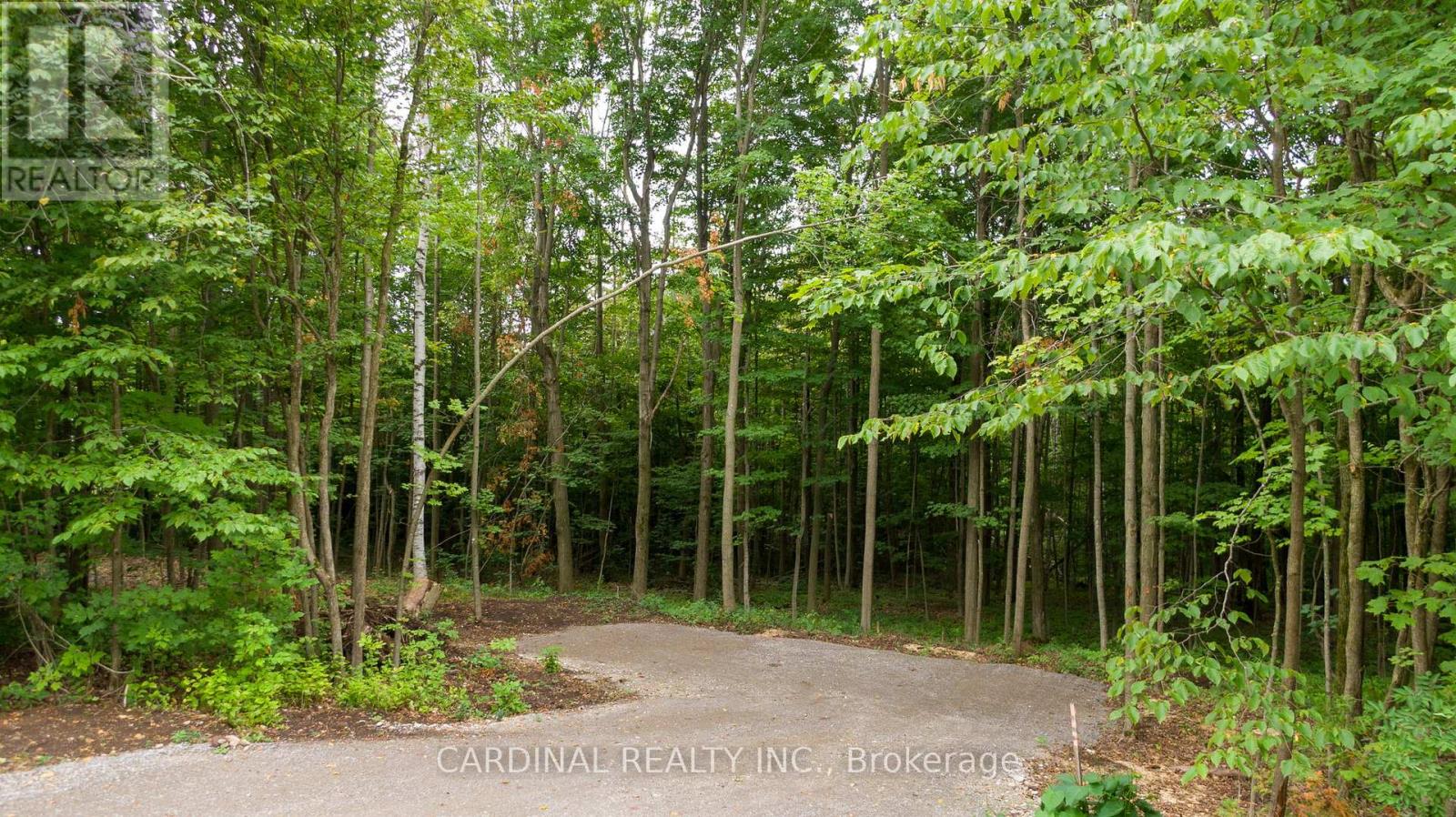 Photo 11 of Part 1 Gully Road, Alnwick Haldimand ON