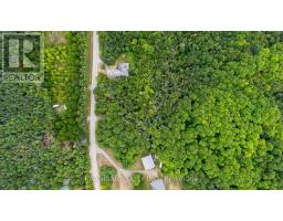 Part 1 Gully Road, Alnwick Haldimand, ON K9A4J8 Photo 10
