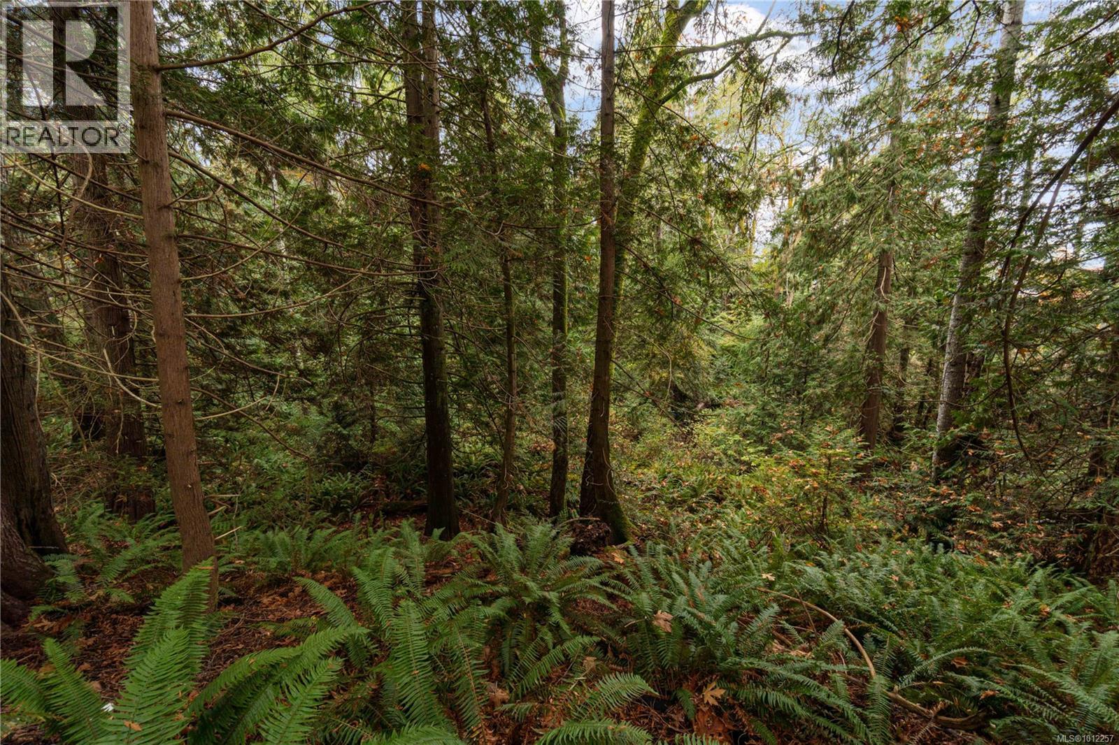 Photo 16 of 6850 Island Hwy W, Bowser BC