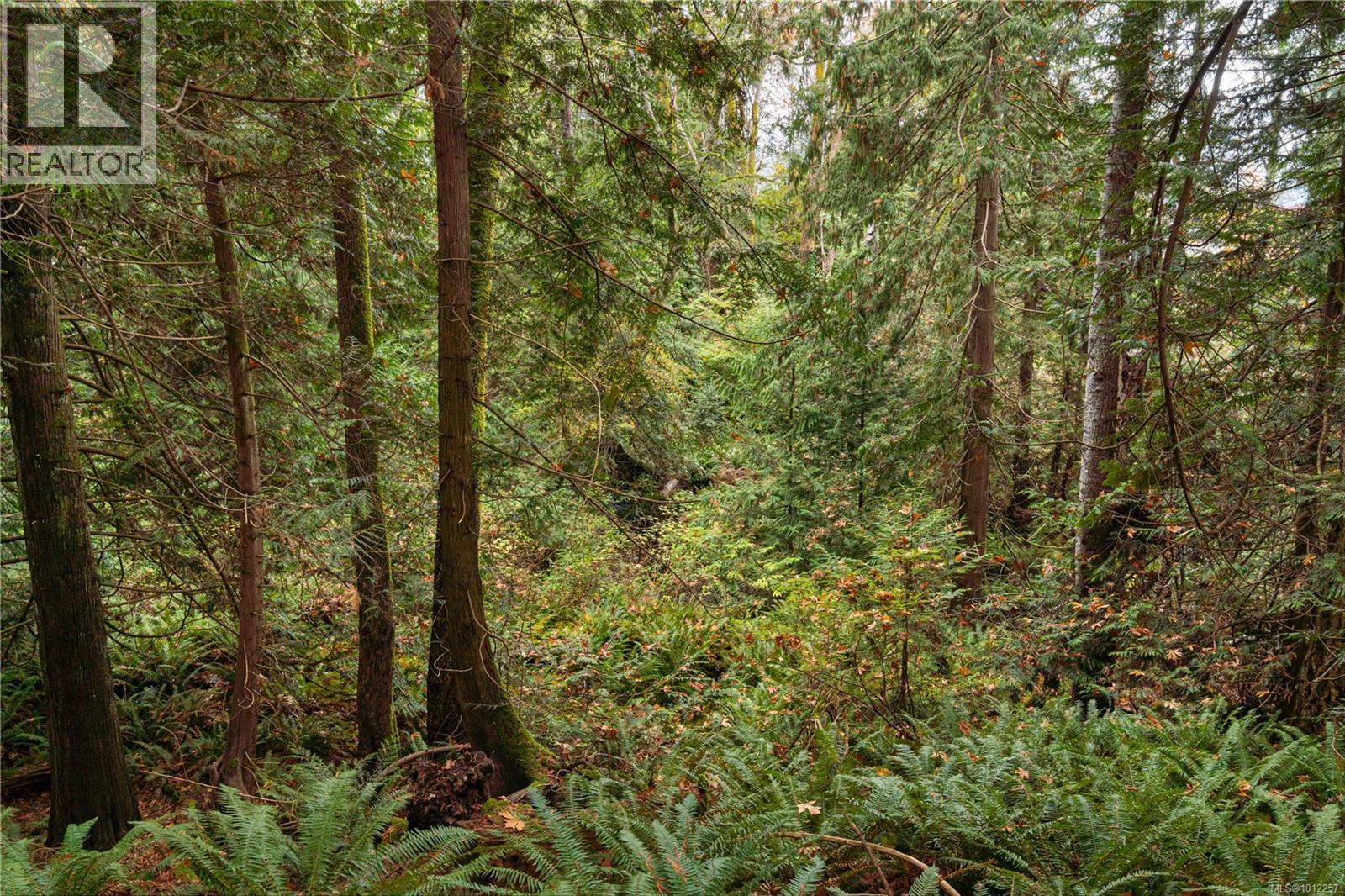 Photo 11 of 6850 Island Hwy W, Bowser BC