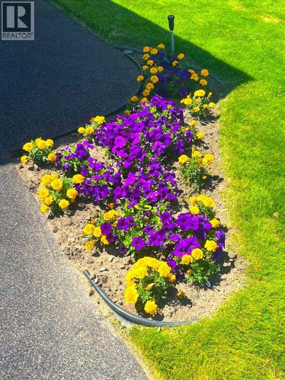 Photo 38 of 904 Spruce Way Se, Medicine Hat AB