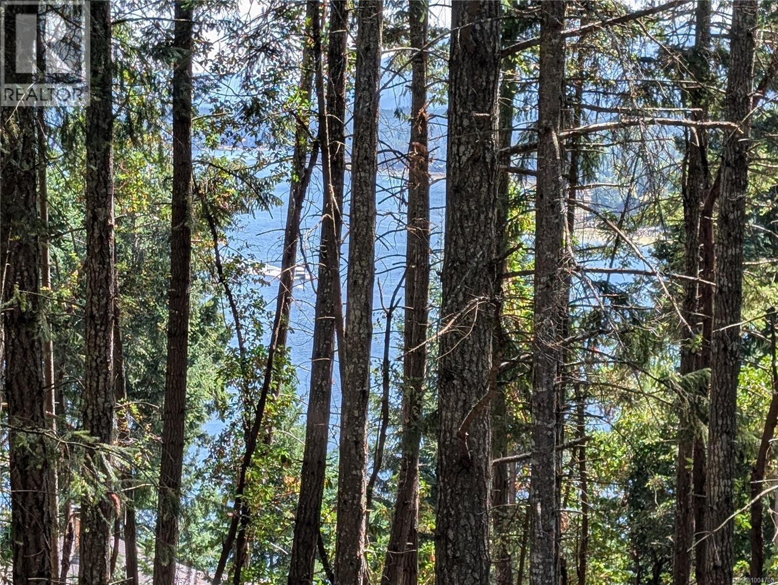 415 Halibut Hill Rd, Mudge Island