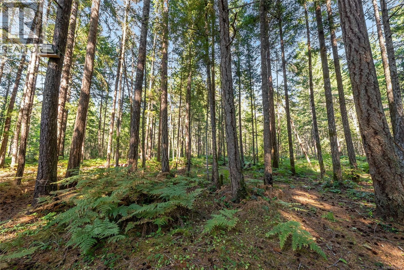 Photo 41 of 505 Baylis Rd, Qualicum Beach BC