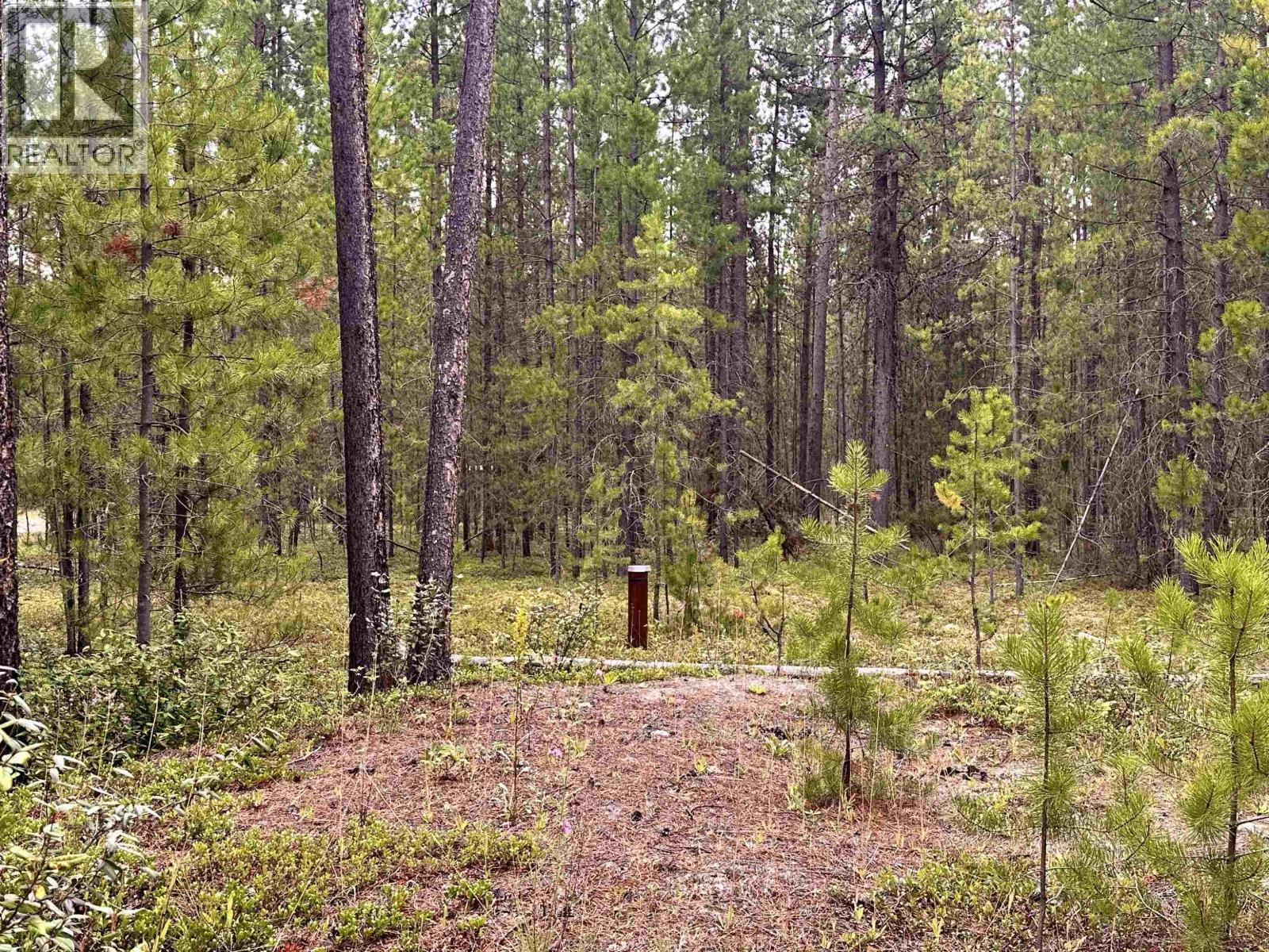 LOT 10 PINE ROAD, Valemount