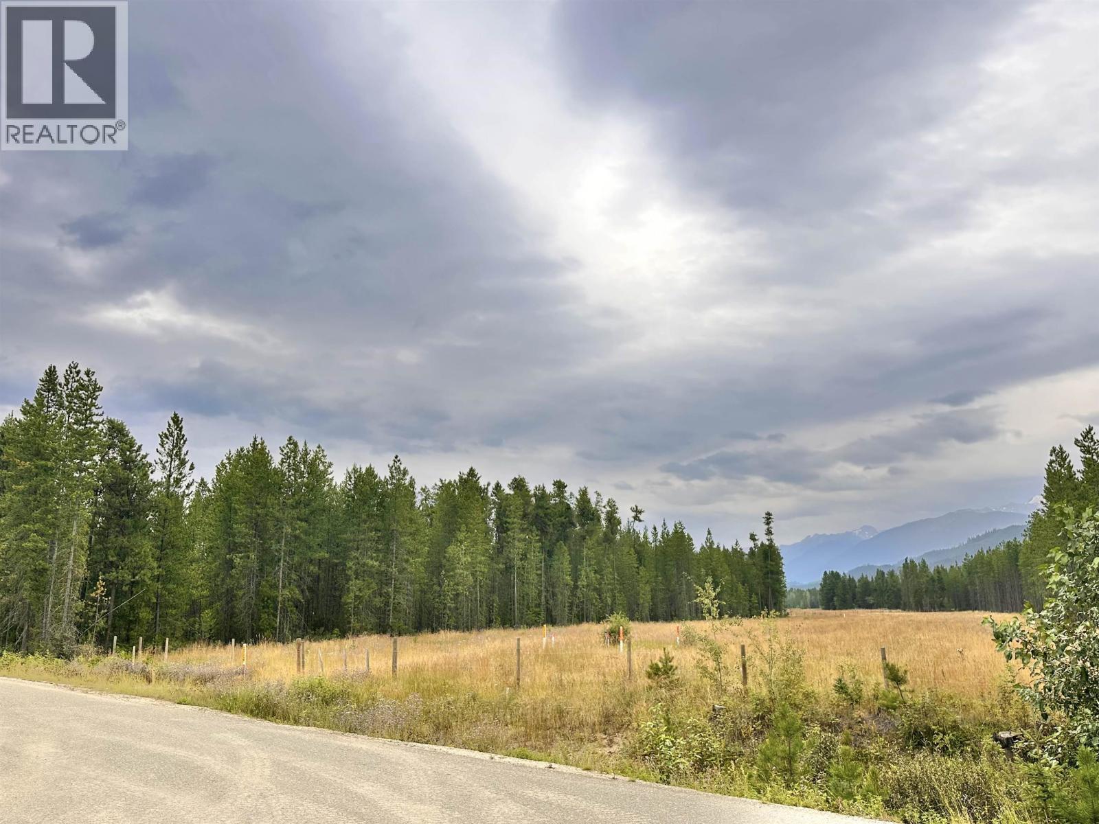 LOT 10 PINE ROAD, Valemount