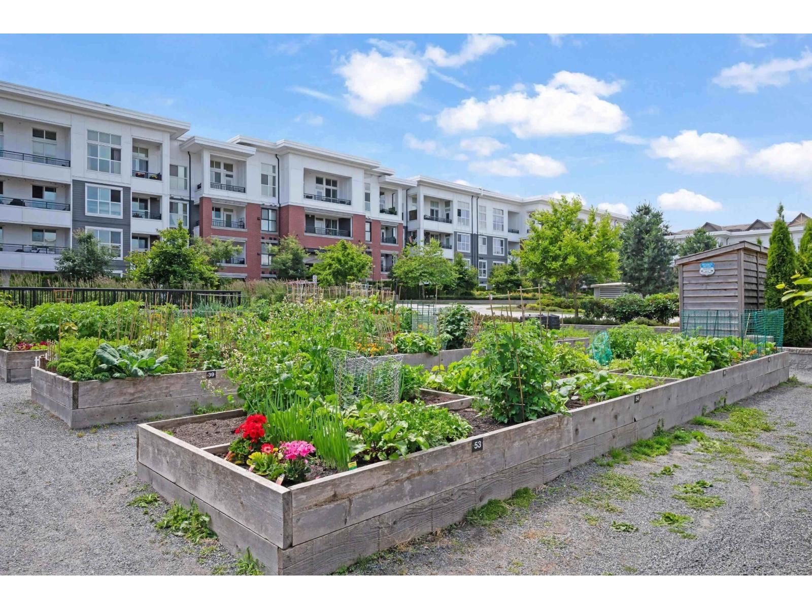 Photo 24 of D 210 8150 207 Street, Langley BC