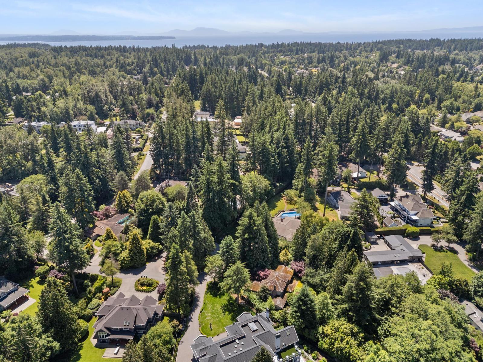 Photo 14 of 14069 26 A Avenue, Surrey BC