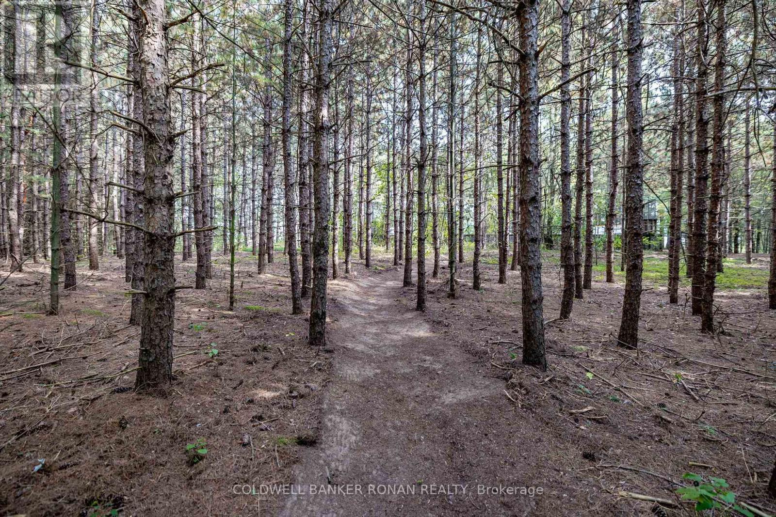 Photo 10 of 16 Indiana Drive, Caledon ON