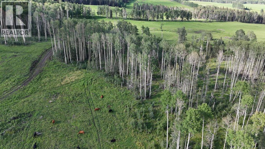Photo 11 of 29572 Range Road 54, Rural Mountain View County AB