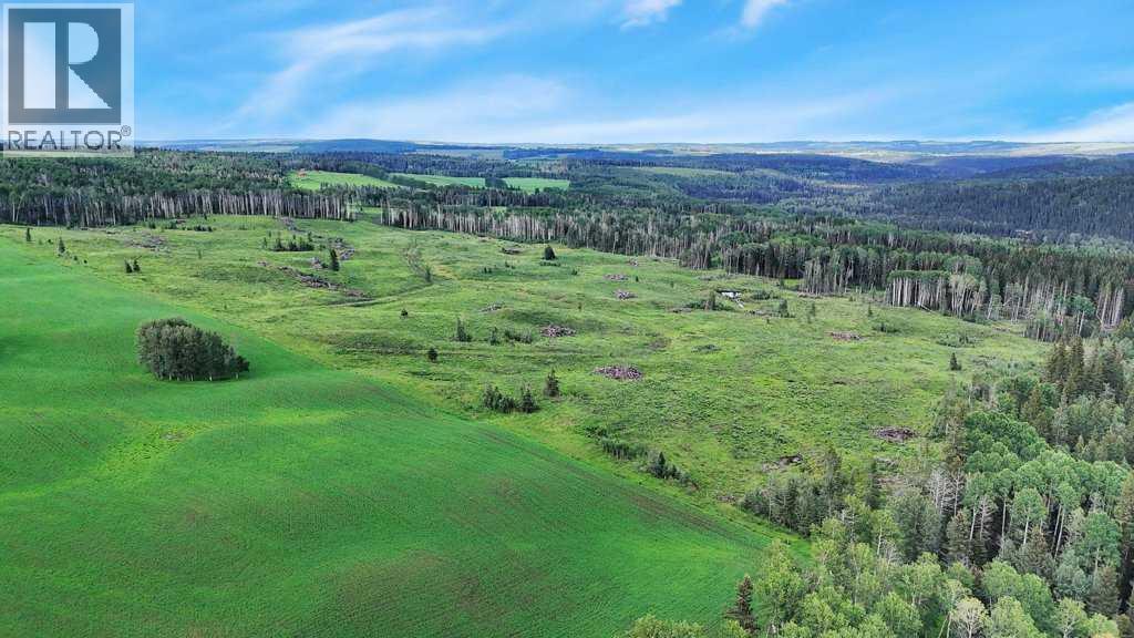 Photo 9 of 29572 Range Road 54, Rural Mountain View County AB