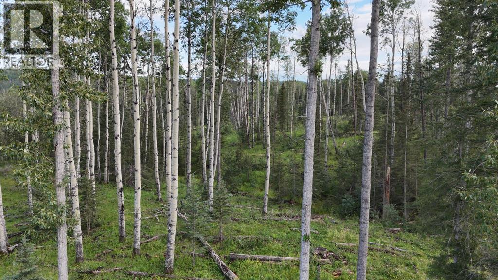 Photo 3 of 29572 Range Road 54, Rural Mountain View County AB
