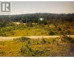 44 Main Road thumbnail 14