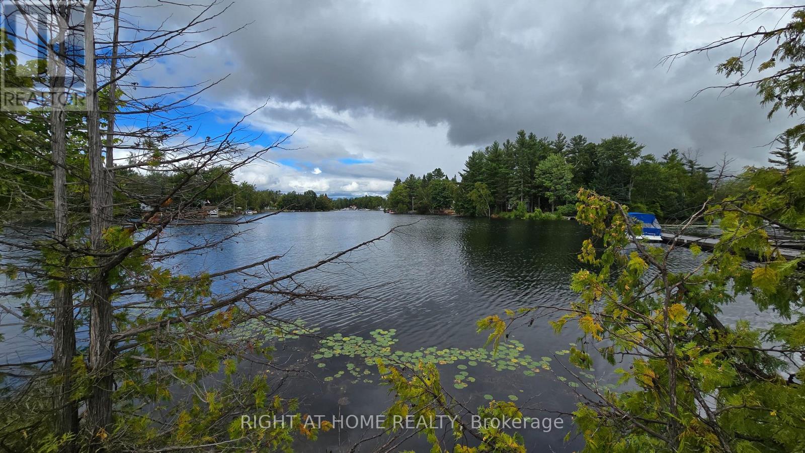 Photo 5 of 31 Portage Road, Kawartha Lakes ON