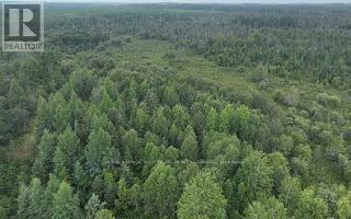Photo 18 of Pcl 7699 Carrigan Road, Timmins ON