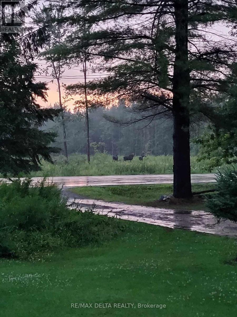 Photo 20 of 286 County Road 19 Road, Alfred And Plantagenet ON