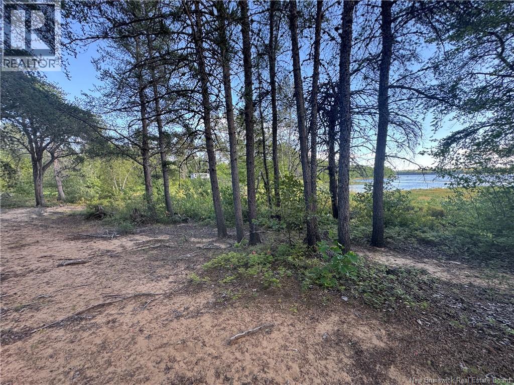 Photo 8 of Lot Wegesegum Road, Long Creek NB