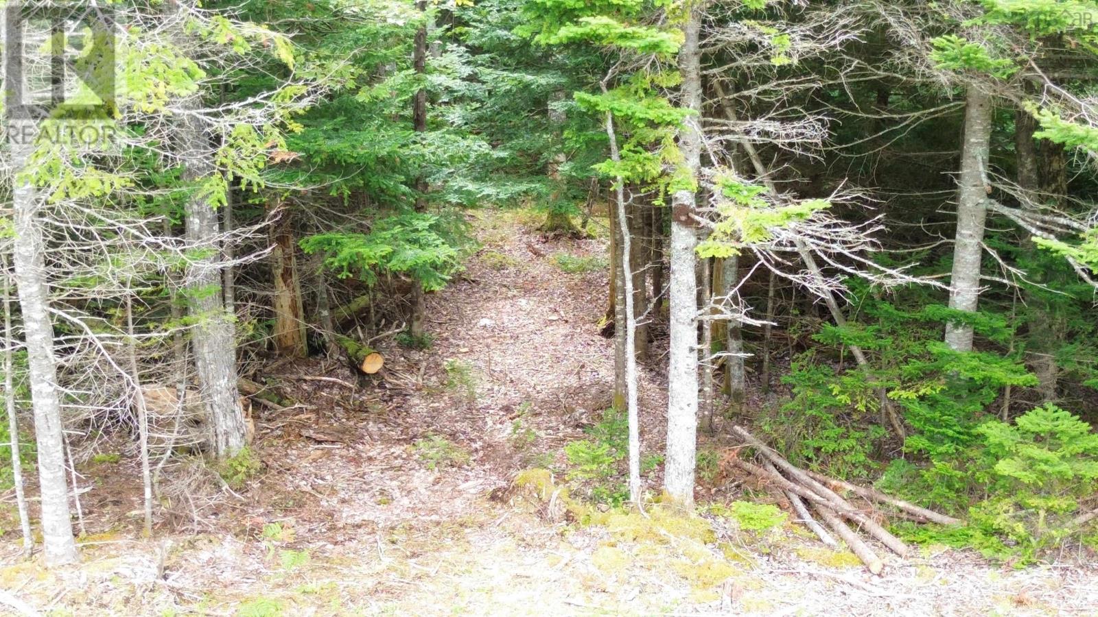 Property 2 of 24 of Lot 11 Whiteside Road