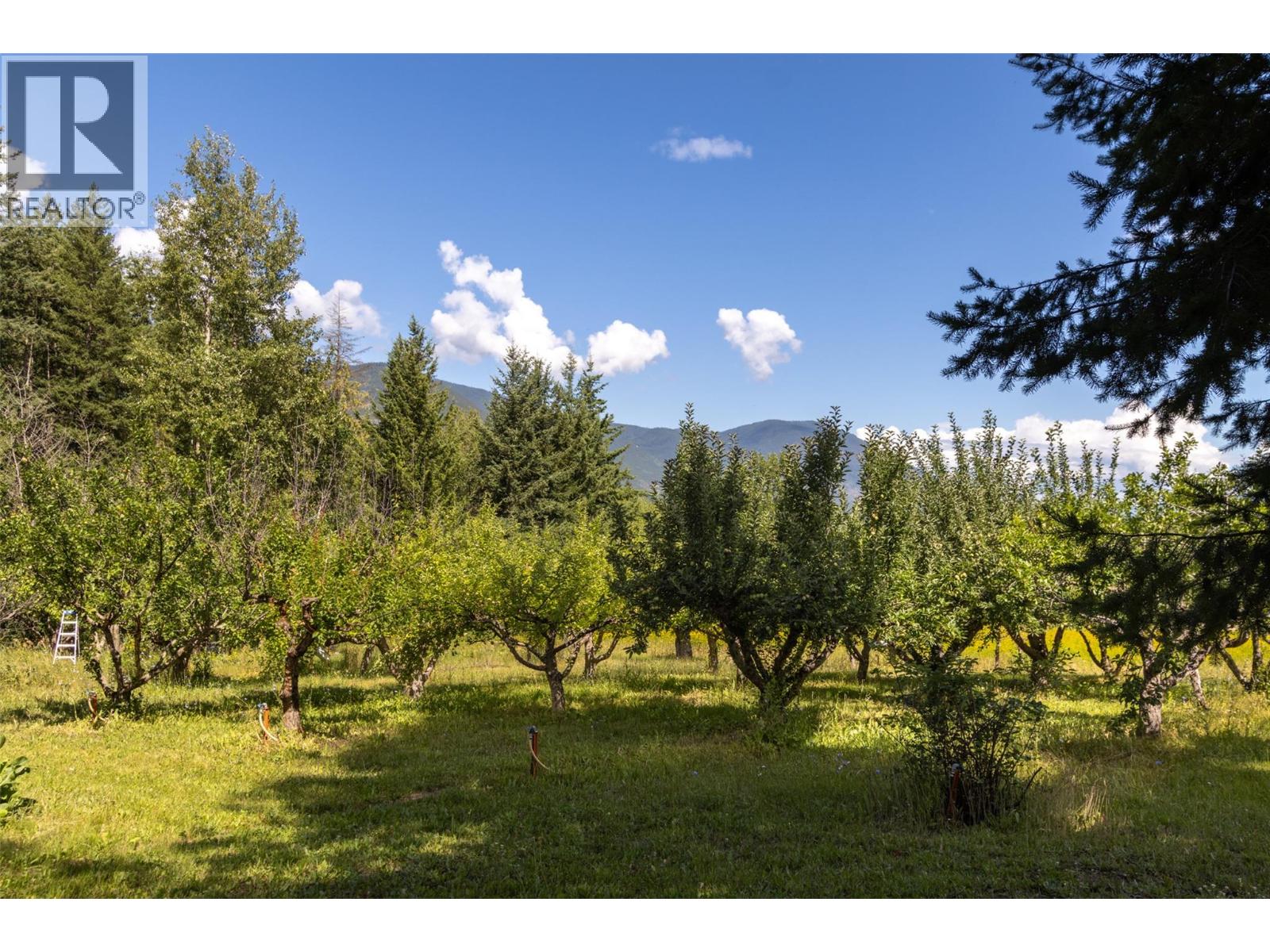 Photo 50 of 4900 45 Street Sw, Salmon Arm BC