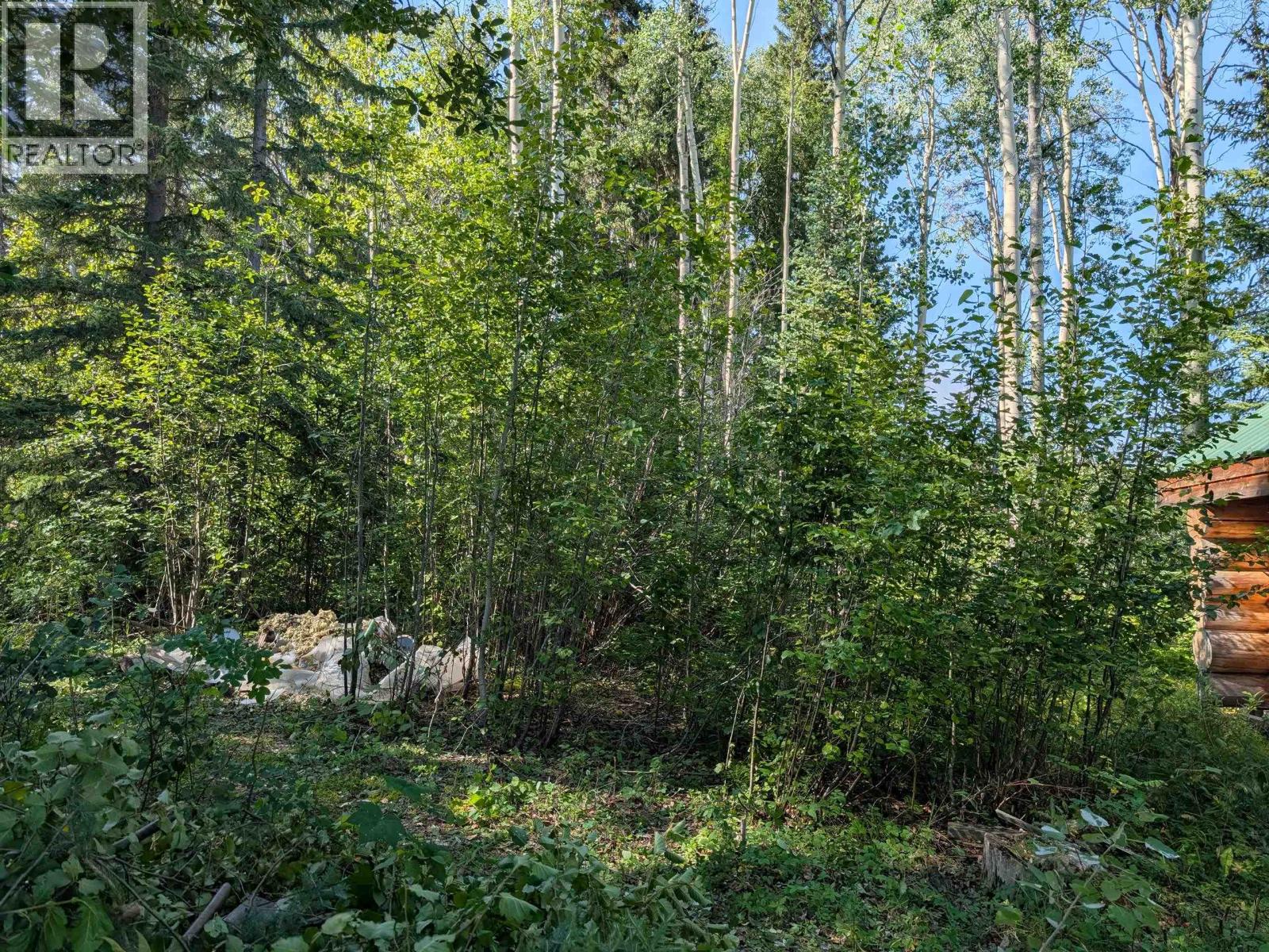 106360 N BABINE LAKE ROAD, Smithers