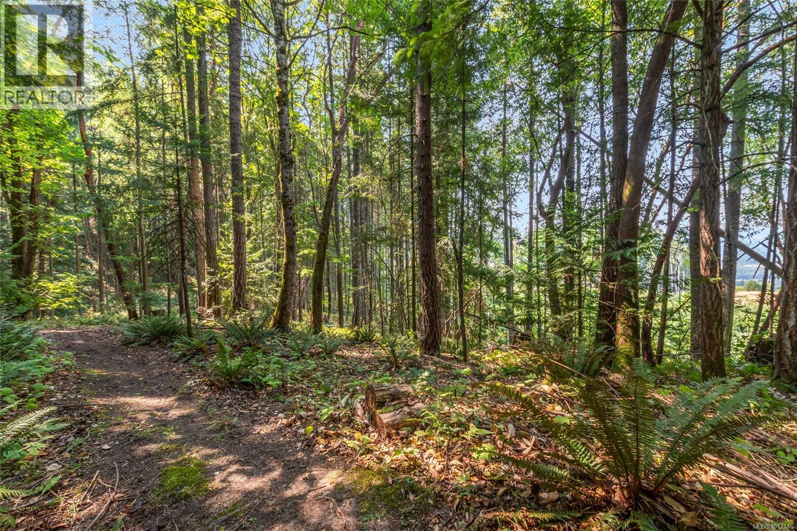 Photo 47 of 4961 Aho Rd, Ladysmith BC