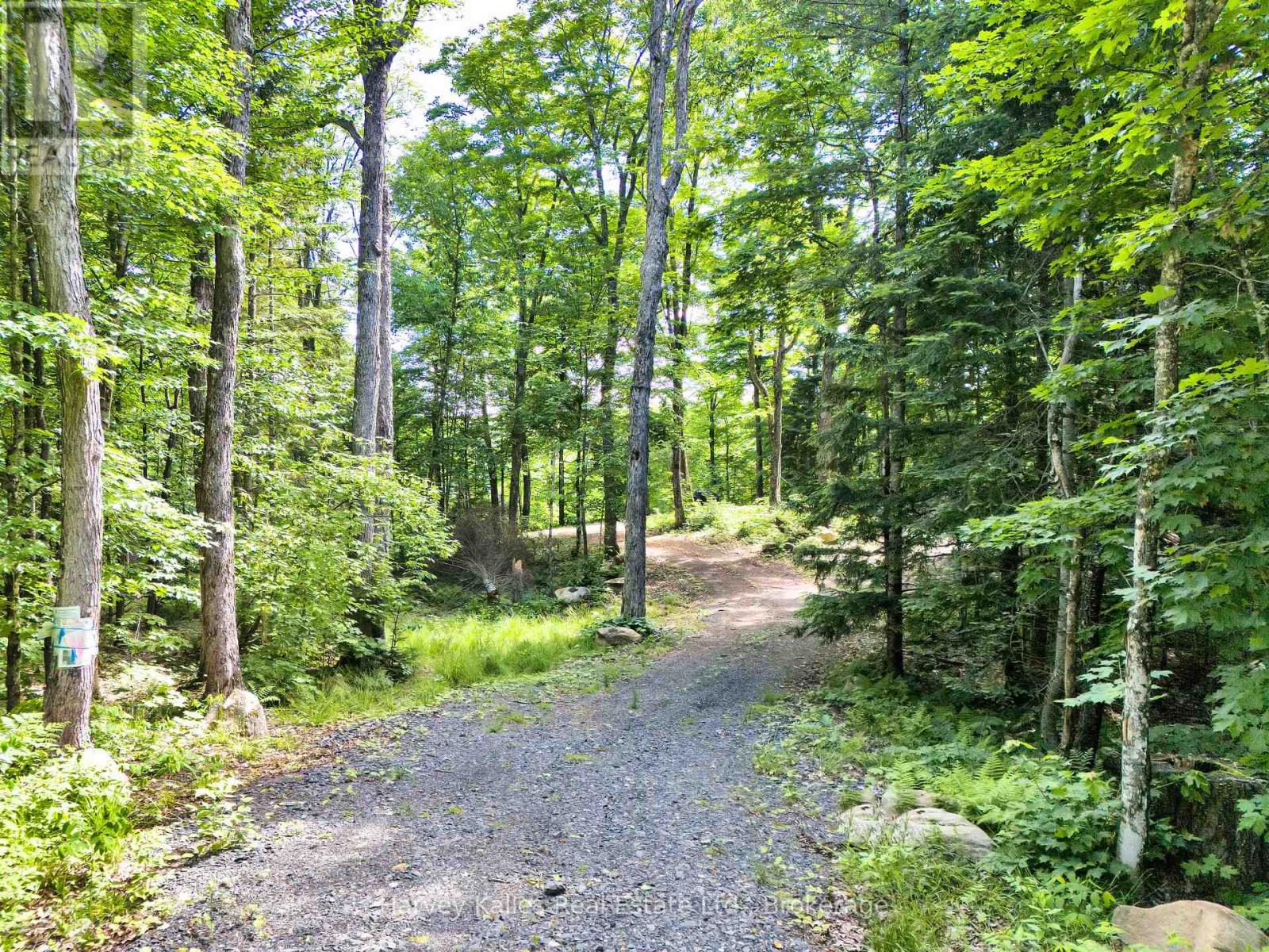 Photo 4 of 3 1082 Carl Fisher Drive, Lake Of Bays ON